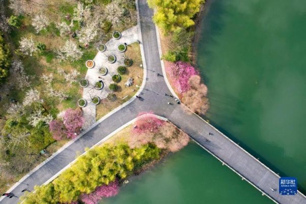 启恒配资 花开春意浓 - 海报新闻