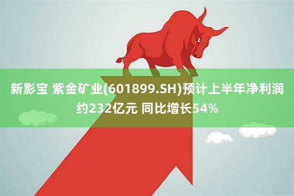 新影宝 紫金矿业(601899.SH)预计上半年净利润约232亿元 同比增长54%