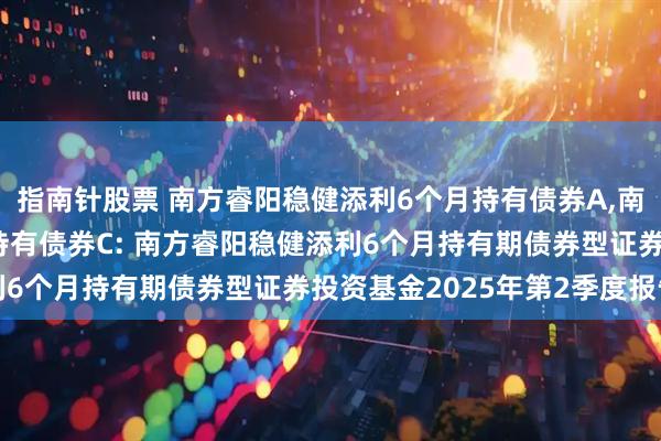 指南针股票 南方睿阳稳健添利6个月持有债券A,南方睿阳稳健添利6个月持有债券C: 南方睿阳稳健添利6个月持有期债券型证券投资基金2025年第2季度报告