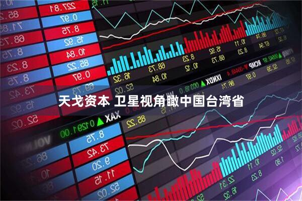 天戈资本 卫星视角瞰中国台湾省